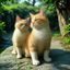 猎奇小白M头像，自然光正面近景
